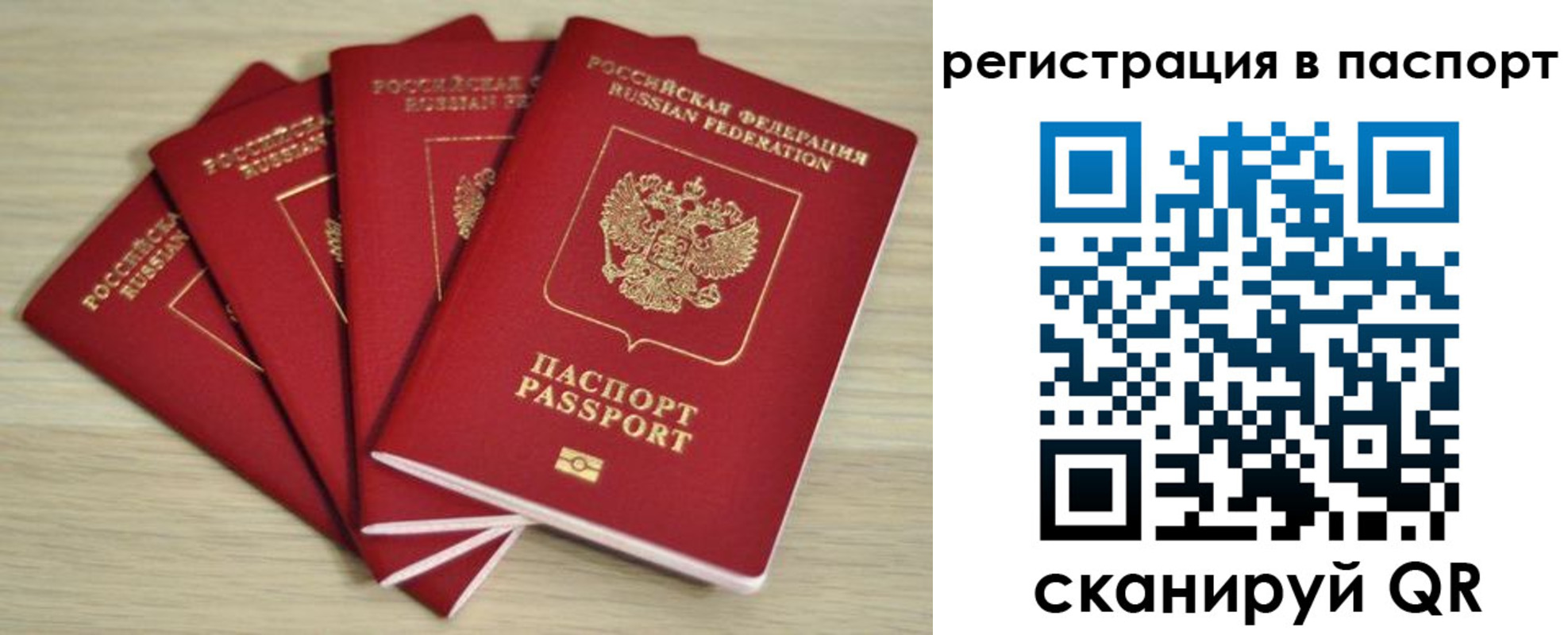 временная регистрация для школы в Сельцо